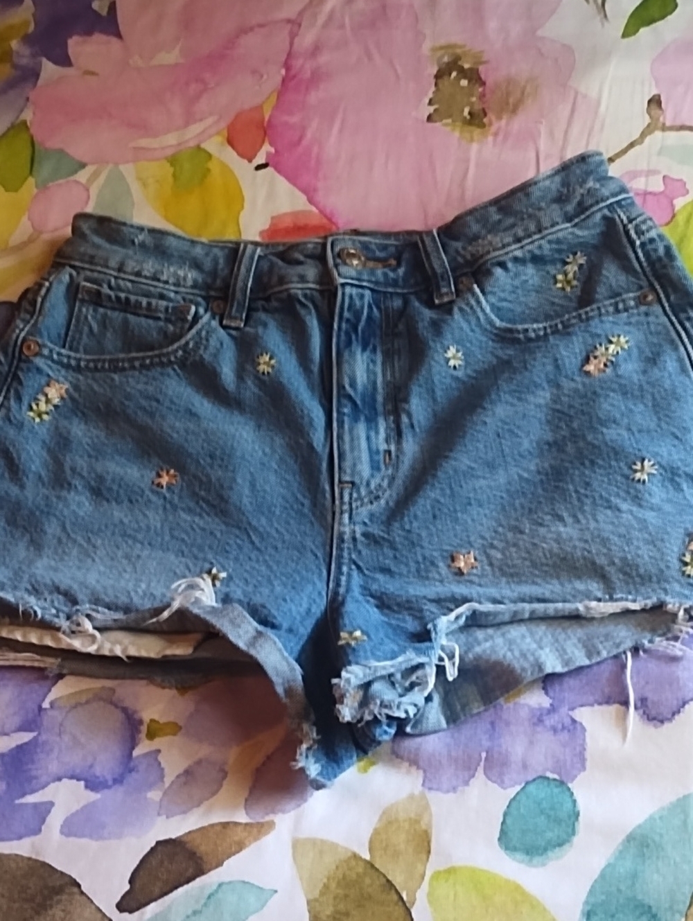 American Eagle Outfitters Blue Embroidered, Distressed, Frayed Short Denim Short